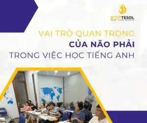 vai trò của não phải trong việc học tiếng Anh