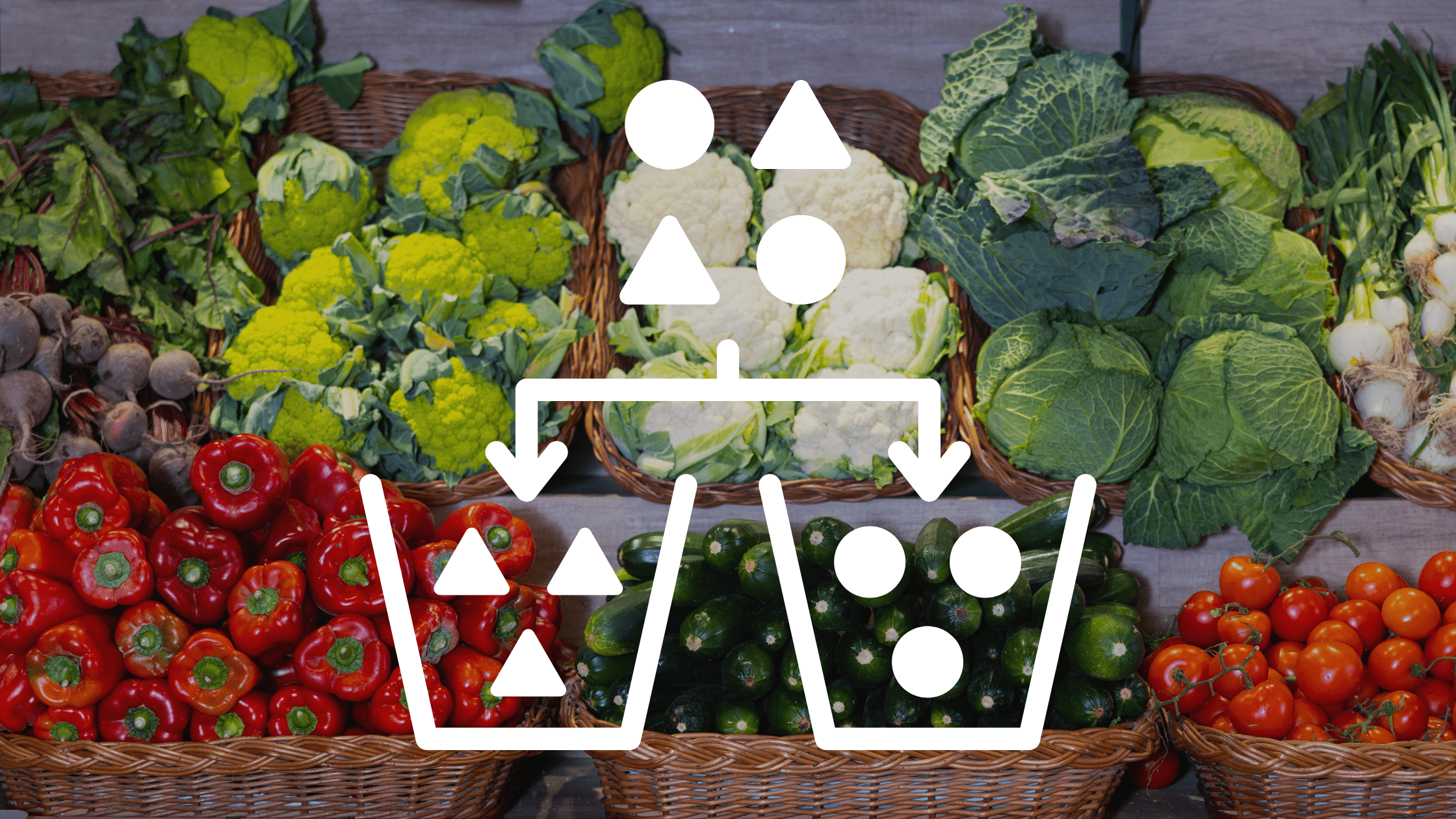 Từ vựng chủ đề Thức ăn: 2 Giáo án TESOL chi tiết cho giáo viên 19 Website ETP Hinh anh minh hoa 45