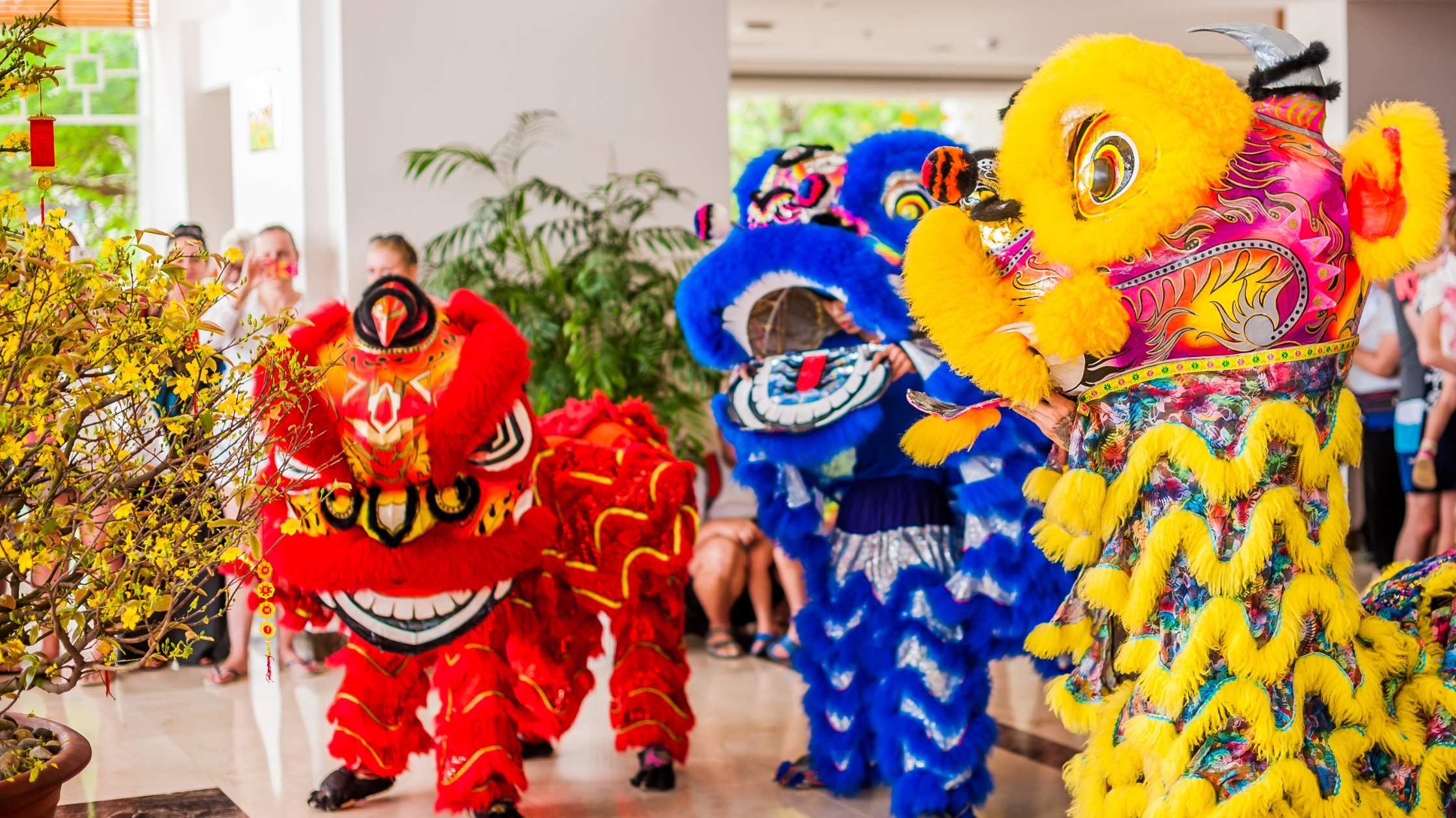 Chủ Đề Ngày Tết