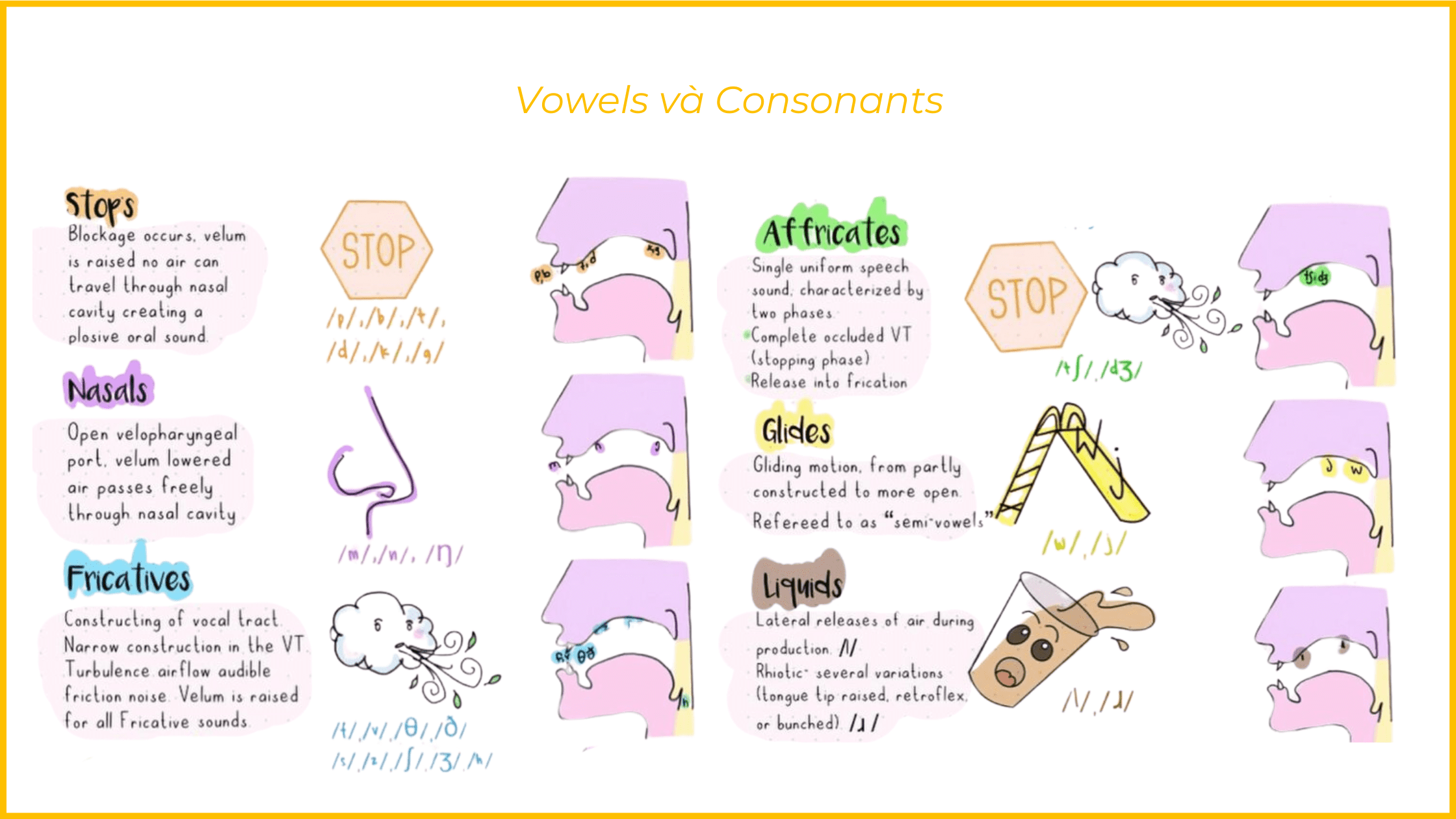 Tips giảng dạy: 5 cách để dạy Vowels và Consonants cho người mất gốc & Mẫu PowerPoints cho tiết học này 12 5 cach de day Vowels Consonants cho nguoi mat goc Cach dat luoi 1