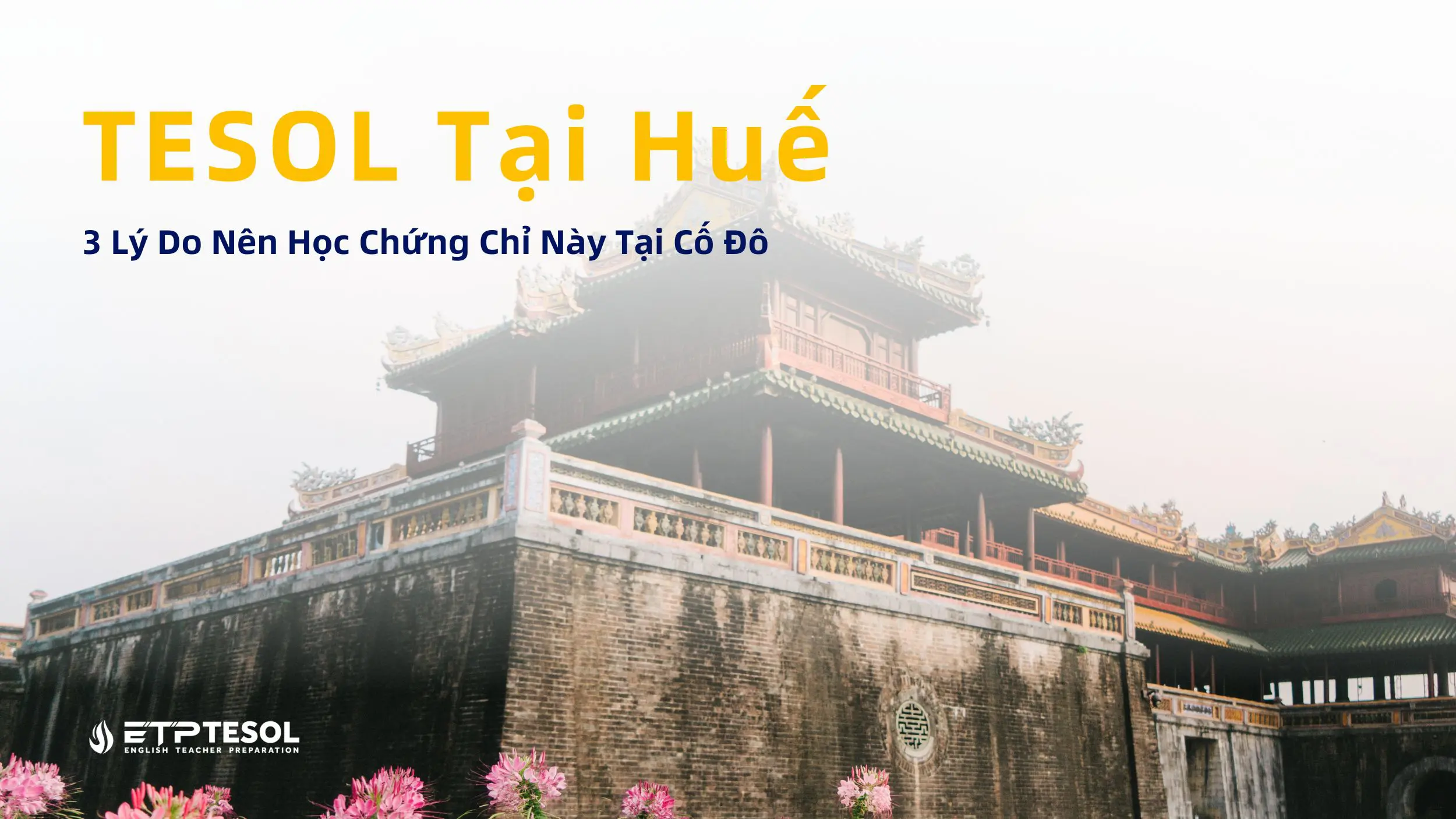 TESOL Tại Huế: 3 Lý Do Nên Học Chứng Chỉ Này Tại Cố Đô 1 TESOL Tại Huế