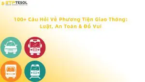 các câu hỏi về phương tiện giao thông