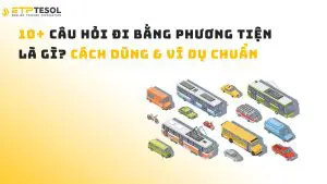 10+ Câu hỏi đi bằng phương tiện là gì? Cách dùng & ví dụ chuẩn