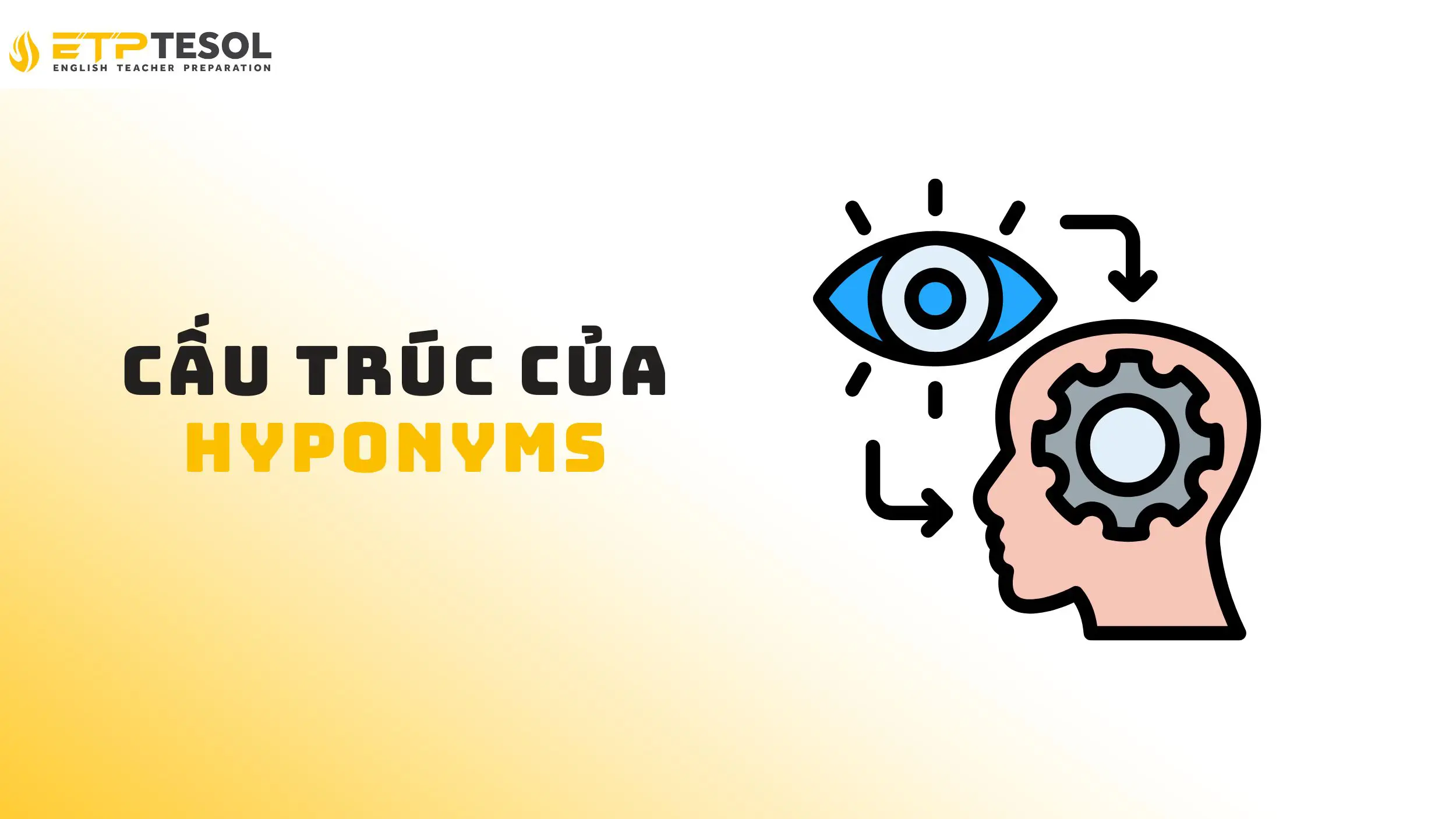 8 điều cần biết về Hyponyms – Từ hạ cấp trong tiếng Anh 15 Tìm hiểu về hyponyms trong tiếng Anh