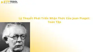 lý thuyết phát triển nhận thức của jean piaget