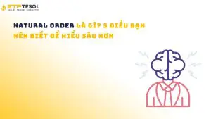 Natural Order là gì? 5 điều bạn nên biết để hiểu sâu hơn