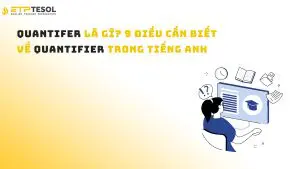 Quantifer là gì? 9 điều cần biết về Quantifier trong tiếng Anh