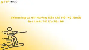 skimming là gì
