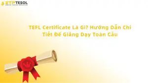tefl certificate là gì