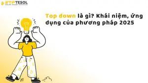 Top down là gì? Khái niệm, ứng dụng của phương pháp 2025