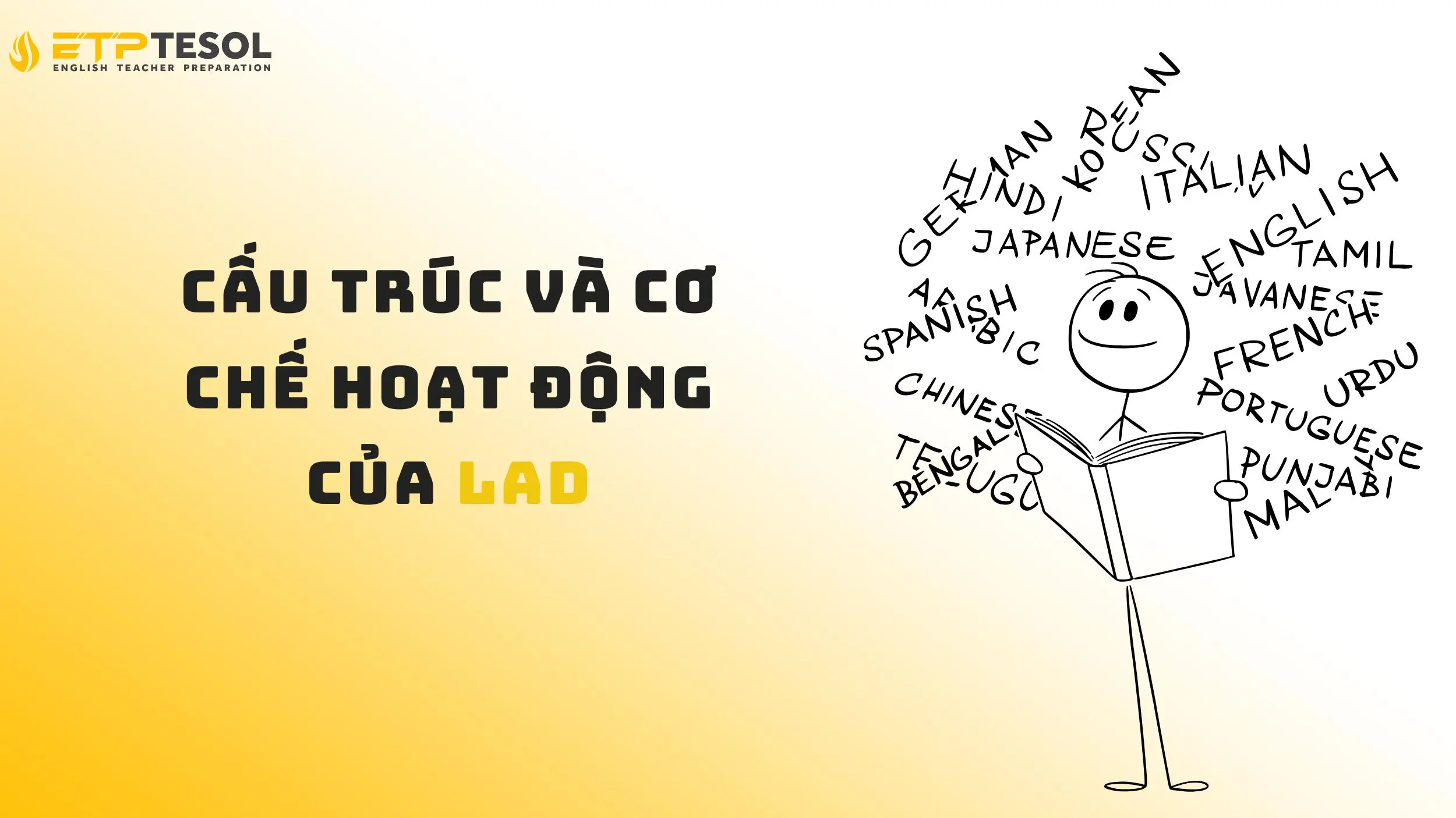 Language Acquisition Device: Bí mật đằng sau khả năng học ngôn ngữ 2025 15 Tìm hiểu cấu trúc và cơ chế hoạt động của LAD
