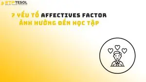 7 Yếu Tố Affectives Factor Ảnh Hưởng Đến Học Tập