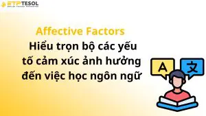 Affective Factors – Hiểu trọn bộ các yếu tố cảm xúc ảnh hưởng đến việc học ngôn ngữ