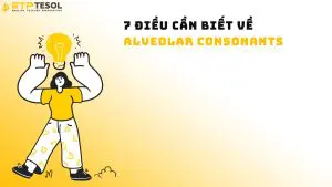 7 Điều Cần Biết Về Alveolar Consonants
