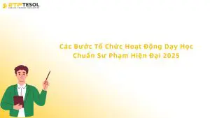 các bước tổ chức hoạt động dạy học