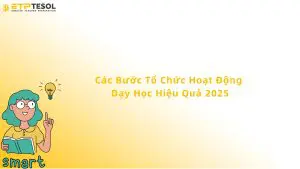 các bước tổ chức hoạt động dạy học