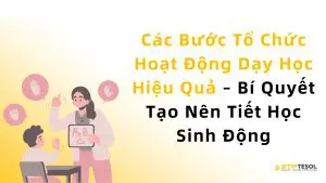 Các Bước Tổ Chức Hoạt Động Dạy Học Hiệu Quả – Bí Quyết Tạo Nên Tiết Học Sinh Động