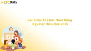 các bước tổ chức hoạt động dạy học