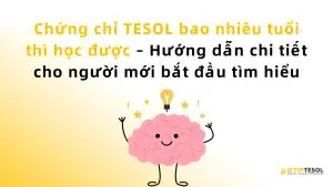 Chứng chỉ TESOL bao nhiêu tuổi thì học được – Hướng dẫn chi tiết cho người mới bắt đầu tìm hiểu