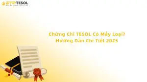 chứng chỉ tesol có mấy loại
