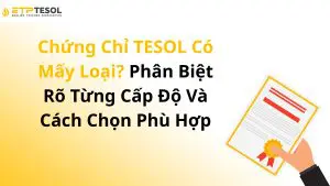 Chứng Chỉ TESOL Có Mấy Loại? Phân Biệt Rõ Từng Cấp Độ Và Cách Chọn Phù Hợp