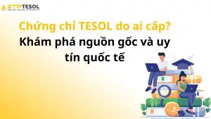 Chứng chỉ TESOL do ai cấp? Khám phá nguồn gốc và uy tín quốc tế