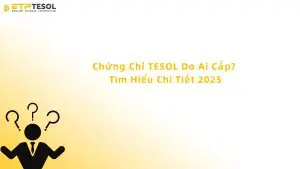 chứng chỉ tesol do ai cấp