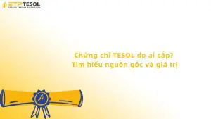 Chứng chỉ TESOL do ai cấp?