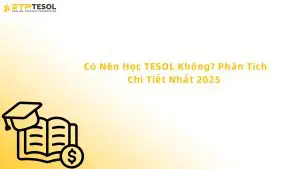có nên học tesol không