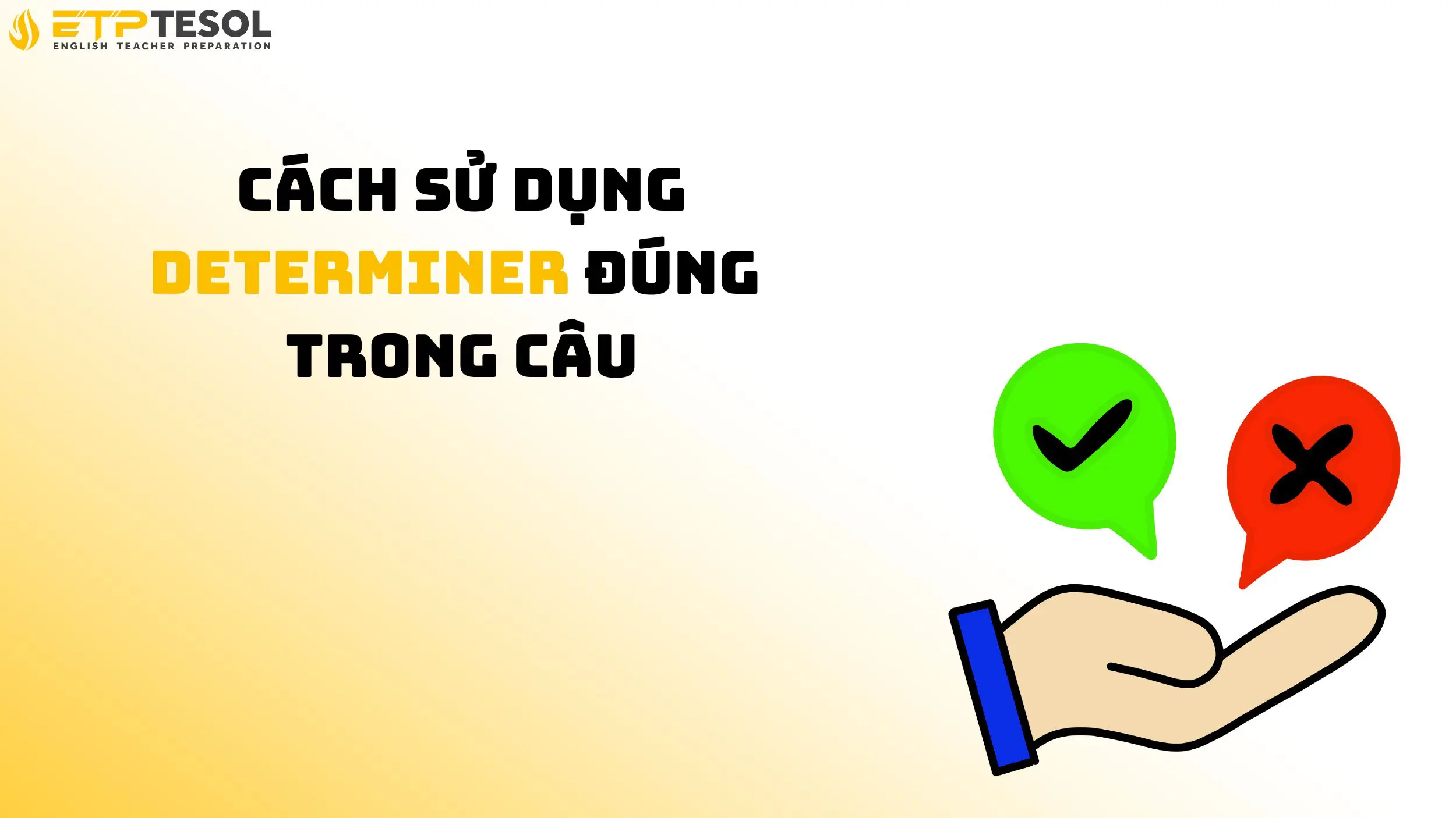 10 điều cần biết về Determiner trong tiếng Anh 15 Cách sử dụng determiner đúng trong câu