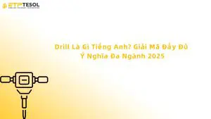 drill là gì tiếng anh