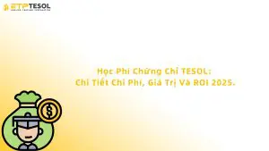 học phí chứng chỉ tesol
