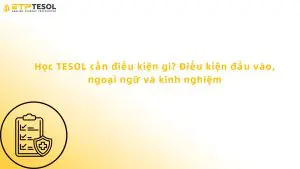 học tesol cần điều kiện gì