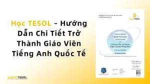 Học TESOL – Hướng Dẫn Chi Tiết Trở Thành Giáo Viên Tiếng Anh Quốc Tế