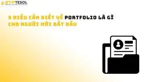 5 điều cần biết về Portfolio là gì cho người mới bắt đầu