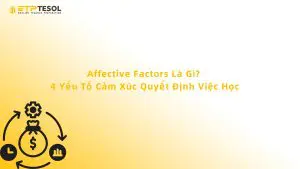 Affective Factors Là Gì? 4 Yếu Tố Cảm Xúc Quyết Định Việc Học
