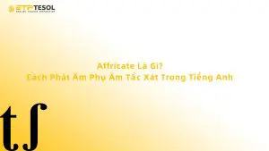 Affricate Là Gì? Cách Phát Âm Phụ Âm Tắc Xát Trong Tiếng Anh