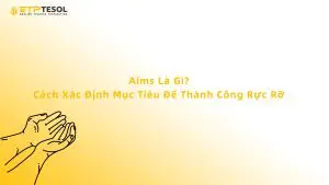 Aims Là Gì? Cách Xác Định Mục Tiêu Để Thành Công Rực Rỡ