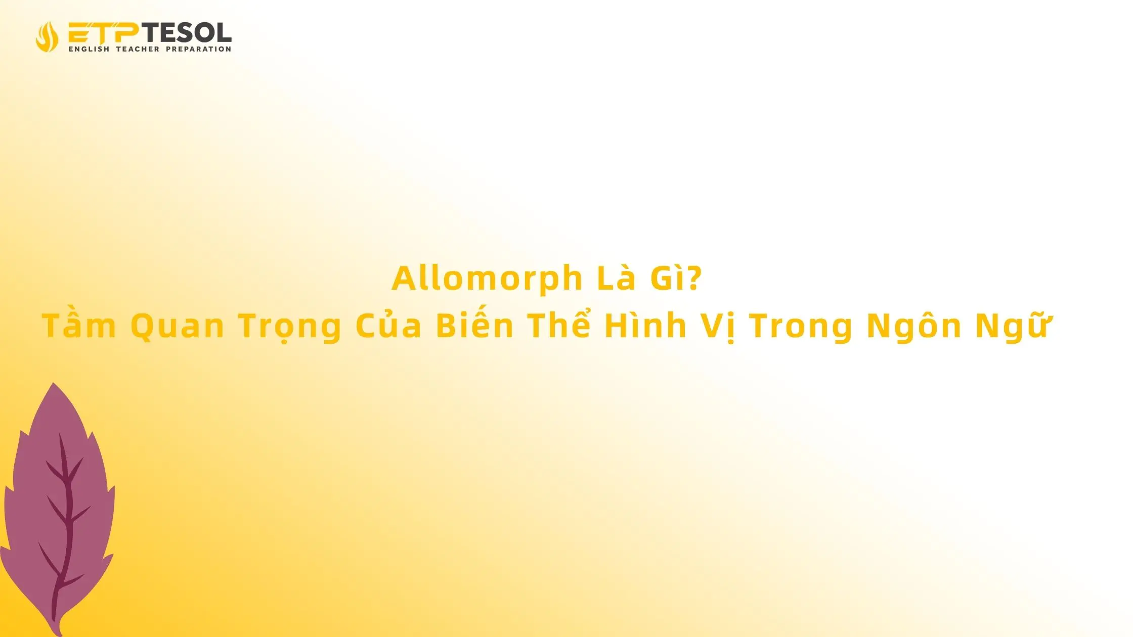 Allomorph Là Gì? Tầm Quan Trọng Của Biến Thể Hình Vị Trong Ngôn Ngữ 13 Allomorph Là Gì? Tầm Quan Trọng Của Biến Thể Hình Vị Trong Ngôn Ngữ