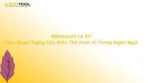 Allomorph Là Gì? Tầm Quan Trọng Của Biến Thể Hình Vị Trong Ngôn Ngữ