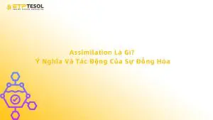 Assimilation Là Gì? Ý Nghĩa Và Tác Động Của Sự Đồng Hóa