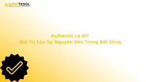 Authentic Là Gì? Giá Trị Của Sự Nguyên Bản Trong Đời Sống