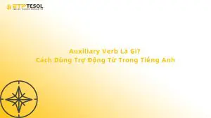 Auxiliary Verb