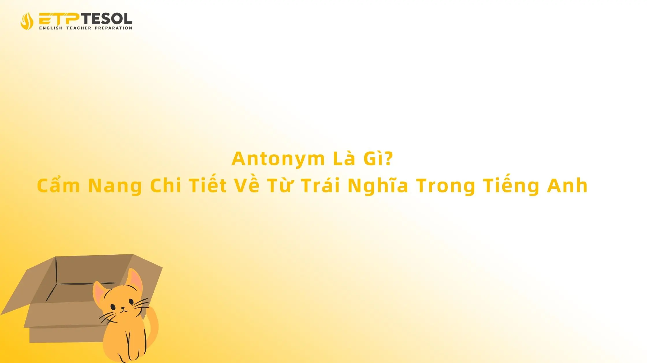 Antonym Là Gì? Cẩm Nang Chi Tiết Về Từ Trái Nghĩa Trong Tiếng Anh 13 Antonym Là Gì? Cẩm Nang Chi Tiết Về Từ Trái Nghĩa Trong Tiếng Anh