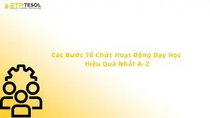 Các Bước Tổ Chức Hoạt Động Dạy Học Hiệu Quả Nhất A-Z