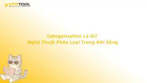 Categorisation là gì? Nghệ thuật phân loại trong đời sống