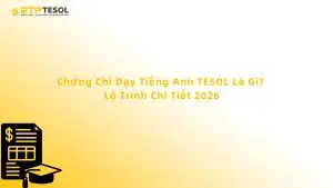 Chứng Chỉ Dạy Tiếng Anh TESOL Là Gì? Lộ Trình Chi Tiết 2026