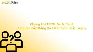 Chứng Chỉ TESOL Do Ai Cấp? Cơ Quan Cấp Bằng Và Kiểm Định Chất Lượng