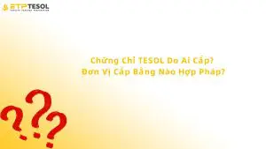 Chứng Chỉ TESOL Do Ai Cấp? Đơn Vị Cấp Bằng Nào Hợp Pháp?