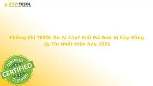 Chứng Chỉ TESOL Do Ai Cấp? Giải Mã Đơn Vị Cấp Bằng Uy Tín Nhất Hiện Nay 2026